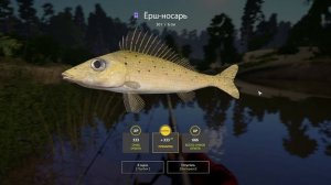 Актуальная точка. Ёрш-носарь + разнорыбица. Вьюнок. Русская Рыбалка 4.