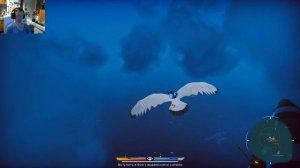 The Falconeer Обзор, первый взгляд на игру.
