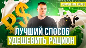 Лучший способ удешевить рацион