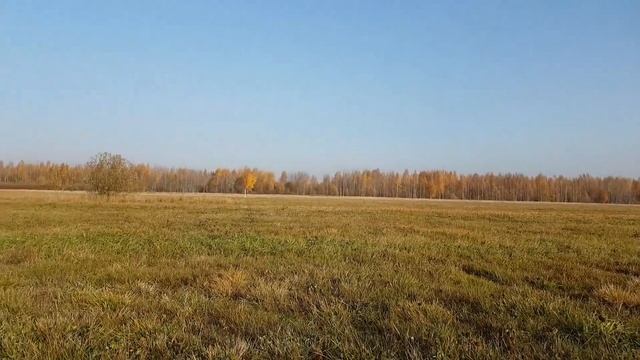 ТРОЕ В ПОЛЕ || осень и все её прелести || Великий Новгород смотреть онлайн