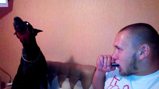 Собака и имперский марш. смотреть онлайн