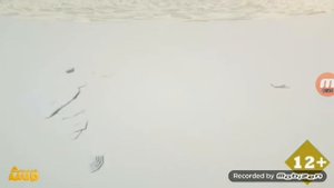 Свидетельство о регистрации и заставка В гостях у сказки (Детский мир, 22.05.2021)