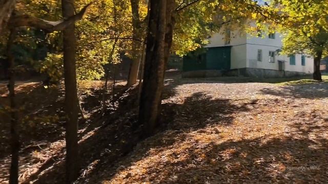 ? Крымский заповедник | Как проехать | Беседка ветров ? ВК_МОРЕ смотреть онлайн