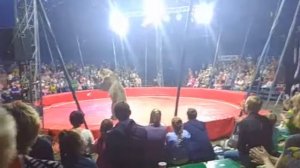 Мега цирк шапито Северодвинск 2 отделение