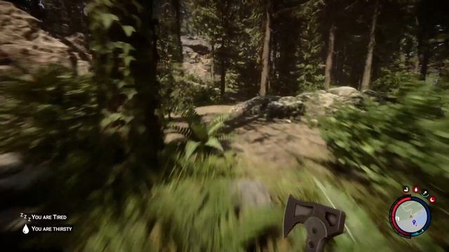 10 Early Game Survival Tips in Sons of the Forest