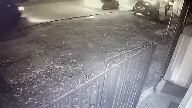 Мужчина травит собак 2 смотреть онлайн