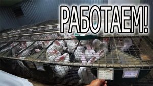 КАК ПОЖИВАЕТ НАШЕ ХОЗЯЙСТВО
