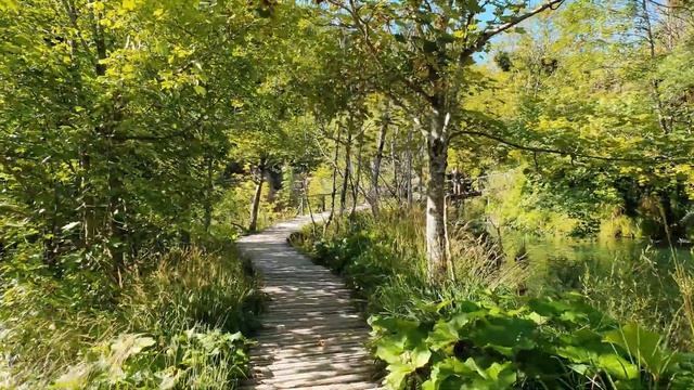 Плитвицкие озера - жемчужина Хорватии!!! 4К смотреть онлайн