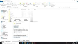 Xiaomi Mi Home Security Camera 360, недостатки, настройка сетевого хранилища NAS под Windows