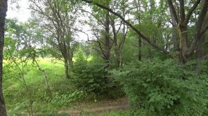 СВЕРНУЛ С ДОРОГИ А ТУТ ТАКОЕ... Коп с мд Gold Hunter Frogman B75