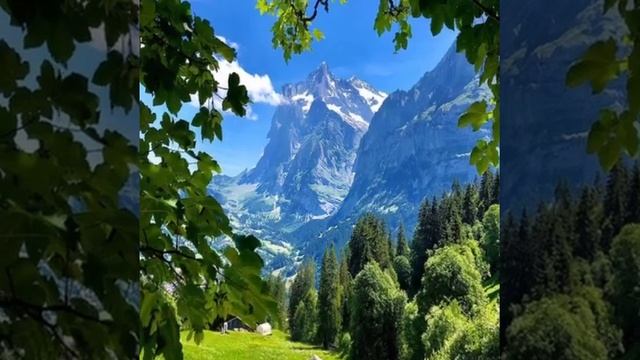 Божественный план и предназначение для моей жизни? смотреть онлайн