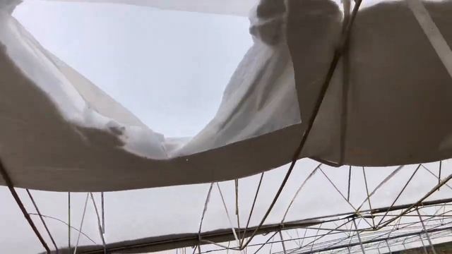 Снег завалил теплицу Режим Плёнку смотреть онлайн