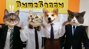видео-визитка команды ВышеБаллы!