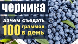 Черника – какая польза от 100 граммов в день?