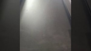 Крышка кузова HAL для Toyota Hilux