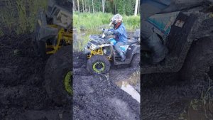 Китайский квадроцикл / тест на торфе / Promax Wild 300