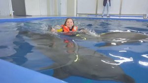 Москвариум плавание с дельфинами 09 июня 2021