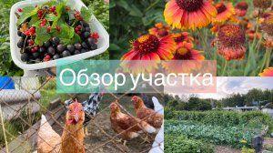 Обзор участка