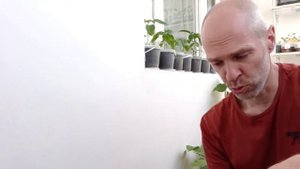 Фисташка морозостойкая -30°С. Два месяца спустя.Ошибки при выращивании.