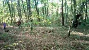 Грибы в Краснодарском крае