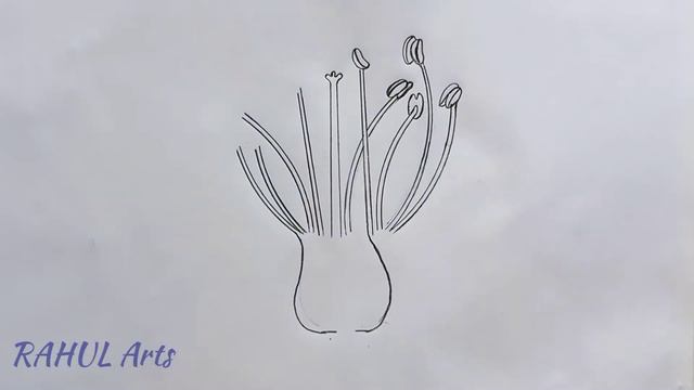 How to draw Longitudinal section of flower in easy steps | biology : science | cbse | ncert class 1 смотреть онлайн