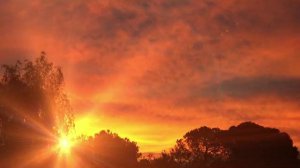 MORNING HAS BROKEN - Cat Stevens (Lyrics)