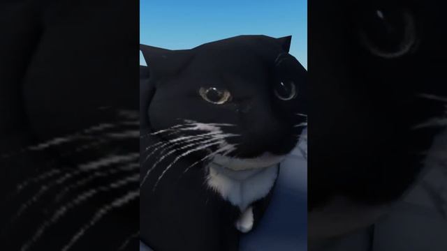 Maxwell the cat meme roblox (cats link in description)