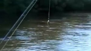 Ловля щуки в Хабаровске