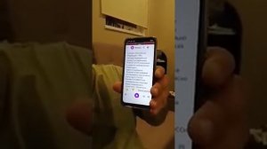 Что такое РФ? Спросим у Алисы