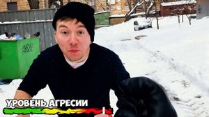 КОРОЧЕ ГОВОРЯ, Я - ОБОРОТЕНЬ  [От первого лица] Я ВОЛК В РЕАЛЬНОЙ ЖИЗНИ