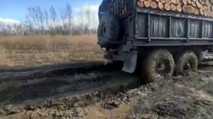 Зил 131 по полю с дровами!