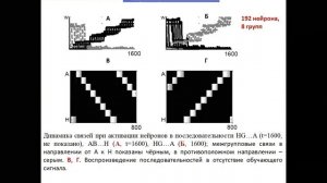 Neuroinformatics - 2020 - Секция 4. Нейробиология и нейробионика