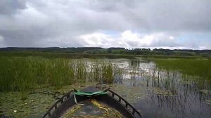 Новая КАЗАНКА по камышу  как  танк.