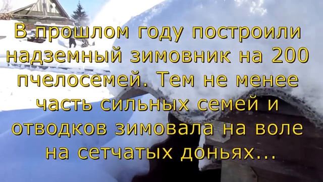 Зимовка на пасеке Скупновых Часть 1    подготовка точка