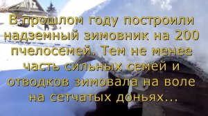 Зимовка на пасеке Скупновых Часть 1    подготовка точка