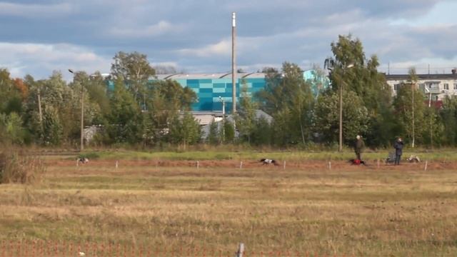 Слюги BORZOMIR BARFAR AMAN, BORZOMIR BAKHRUZ AZIZA, BORZOMIR BASEL AKMAL. Кубок России 2020. 1 круг смотреть онлайн