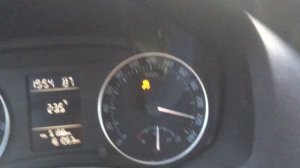 Octavia a5 1.8 tsi dsg экто 100