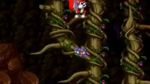 SNES Longplay [123] Mr Nutz