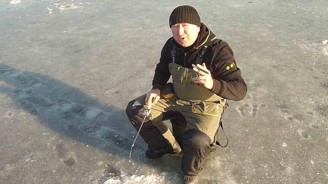 Дайбаны-Родина слонов! смотреть онлайн