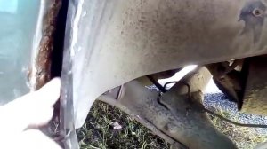 Подкрылки. А нужны ли они?