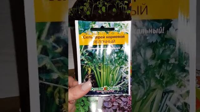 Семена, которые в этом году буду сеять. Минипарник для выращивания рассады. смотреть онлайн