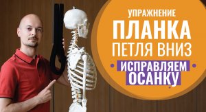 06.ВЫПРЯМЛЯЕМ СПИНУ и мобилизуем грудной отдел на планке для Йоги Точного Выравнивания