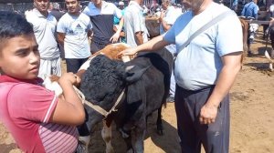 Дехкон бозор Мол бозор ? Худжанд  августа 2022 г. ??