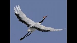 песня "Бег нам времени не удержать" исполняет автор Михаил Калинин. Цени этот Миг и людей вкруг себ