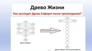 Каббала: Древо Сефирот или Древо Жизни? Как выглядит Древо Сефирот после грехопадения?