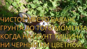 БЫСТРАЯ НАСТРОЙКА МЕТАЛЛОИСКАТЕЛЯ ТЕРМИНАТОР В 2023