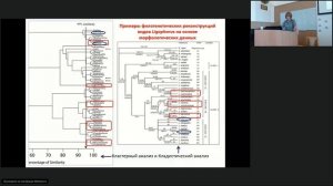 ИнБЮМ Школа-семинар-2020 Дмитриева Е.В. - Интегративный подход в таксономии паразитов