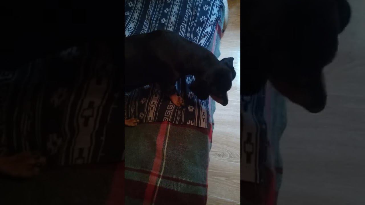 23 октября 2022 г. смотреть онлайн