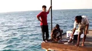 Ловля мурены на тунца