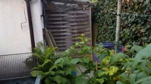 Дачи в Германии. 16 июня 2018.